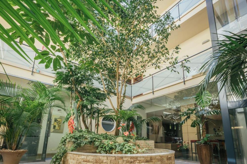 Hotel Costa Azul Balestrate Bagian luar foto